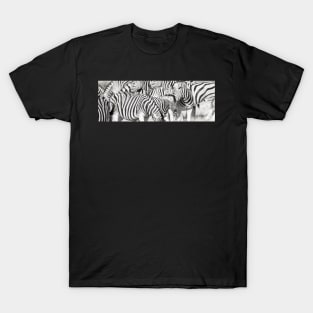 Zebra herd oblong black and white stripe full frame. T-Shirt